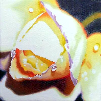 Yellow Rose Yellow Rose