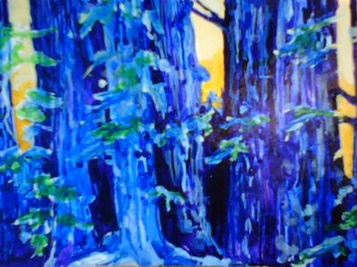 forest forest