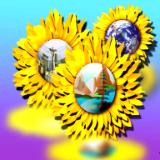 Sunflowerball