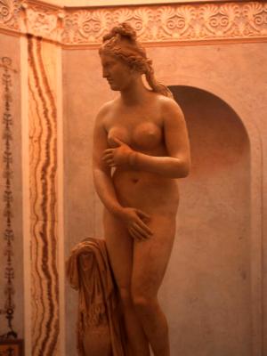 Venus Venus