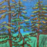 Pines at Horseshoe Lake