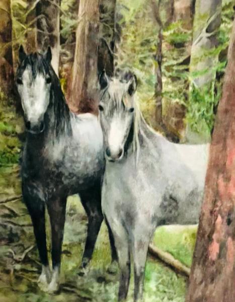 Horses
