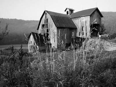 Barkaboom Barn B&W Barkaboom Barn B&W