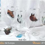 Set of handpainted glasses: HORSES OF EUROPE