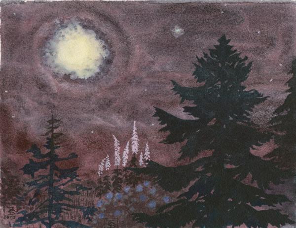 Dark Moon with Foxgloves, Summer Nights