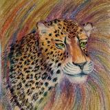 Leopard Portrait 