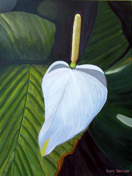 Purity