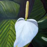 Purity
