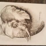 Elephant head