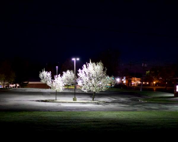 untitled (canon r50 ttartisan 50mm f/1.2)