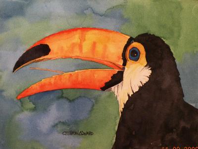 Toucan (watercolor)