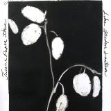 Lunaria 65: Garden Lanterns 