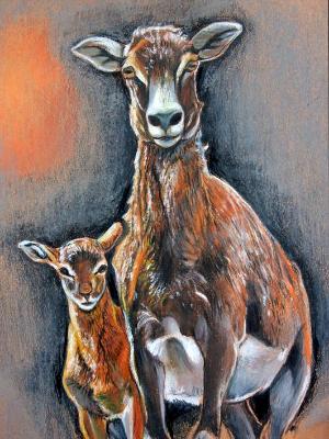 Mouflon and Son Mouflon and Son