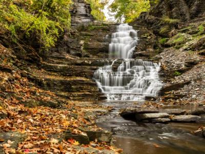 Autumn Leaves in Cascadilla Gorge Autumn Leaves in Cascadilla Gorge