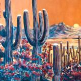 Saguaros at Sunset