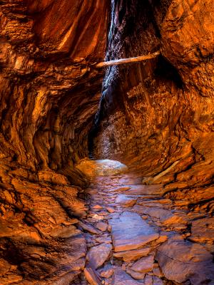 Surprise Slot Canyon Surprise Slot Canyon
