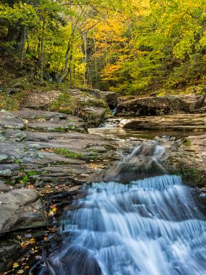 Spruce Creek Falls Autumn Spruce Creek Falls Autumn