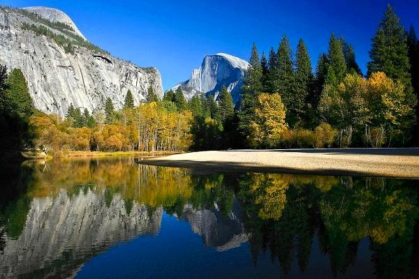 Reflections