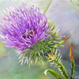 Thistle