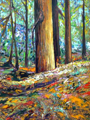 Redwood Forest  30x40