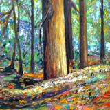 Redwood Forest  30x40