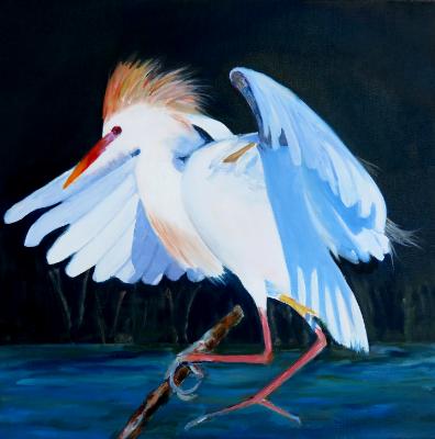 Cattle Egret - oil - 20x20 sold Cattle Egret - oil - 20x20 sold