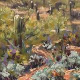 Saguaro Park East