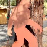 Bigfoot 