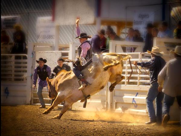 Tygh Rodeo a Tribal Tradition: Beginning of Bull Ride Short Story