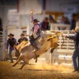 Tygh Rodeo a Tribal Tradition: Beginning of Bull Ride Short Story