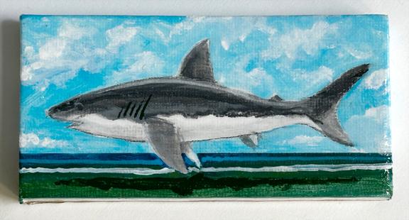 SHARK OVER CAPITOLA