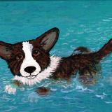 Swimming The Rouge