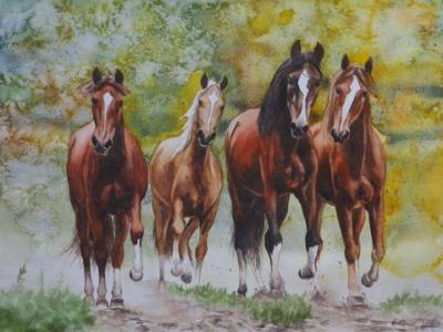 Group of young horses, 35cm x 50cm, 2014
