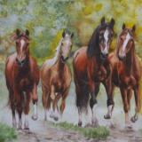 Group of young horses, 35cm x 50cm, 2014