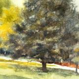 Fowler-Frisch Home 5.2.25