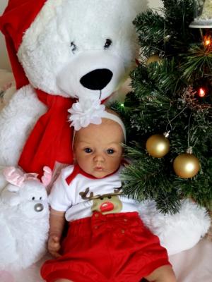 Christmas 2016  Show entry:  Abby  (R.D)
