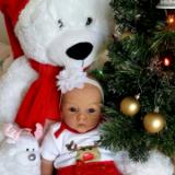 Christmas 2016  Show entry:  Abby  (R.D)