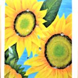 Cards Cards
