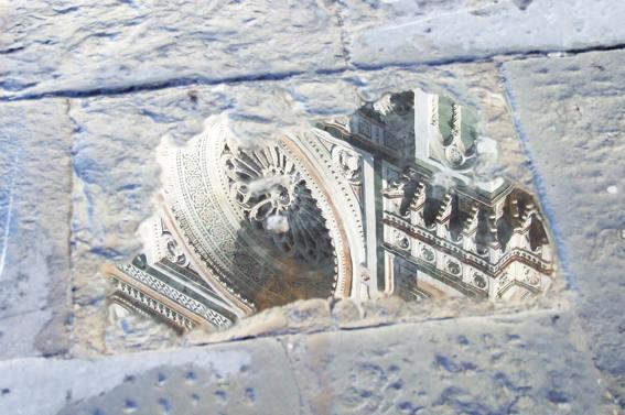 Close-ups: Florence in a Puddle 1