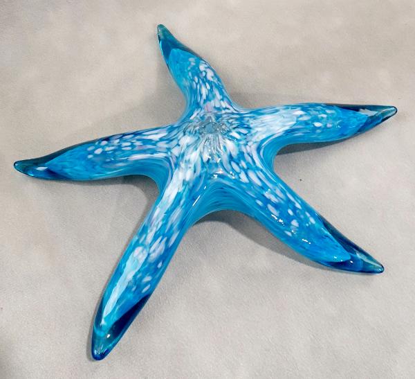 #10262637 Starfish with wall hanger 8.25''W $90.00
