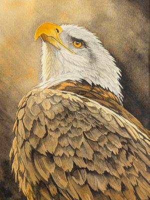 "Liberty" "Liberty"