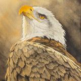 "Liberty"