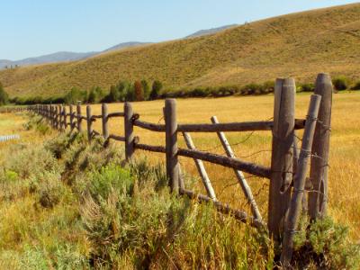 Idaho Fence