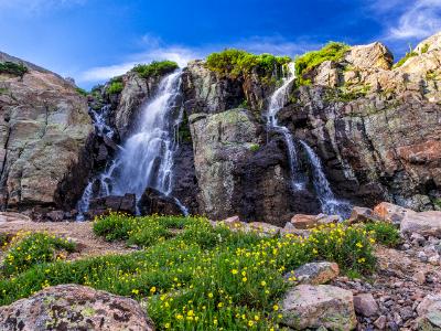 Timberline Falls Spray and Yellow Cinqufoil Timberline Falls Spray and Yellow Cinqufoil