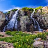 Timberline Falls Spray and Yellow Cinqufoil