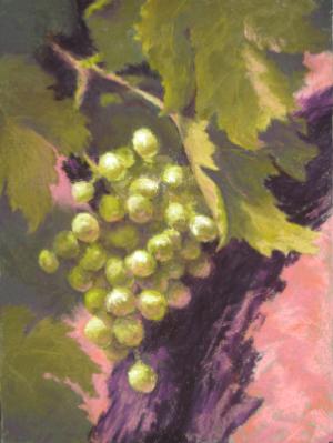 Grapes I Grapes I