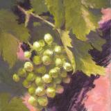 Grapes I