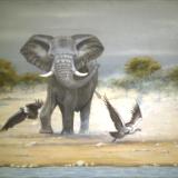 Elephant at river