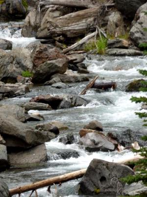 Tumalo Creek