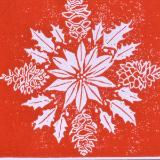 Poinsettia Christmas Card